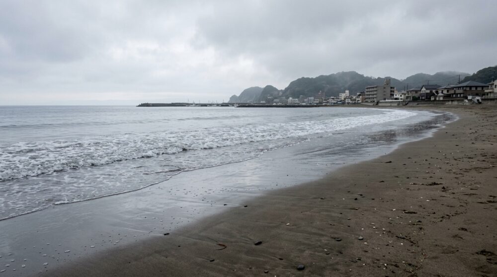 大網白里の津波リスク、結論からお伝えします