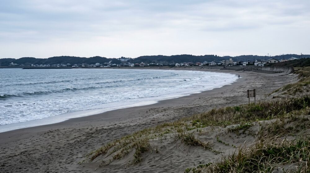 津波ハザードマップと白里海岸の浸水想定